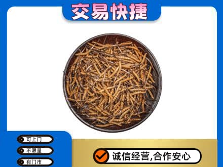 吉林回收散虫草